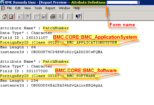 PatchNumber in Attribute Definitions form